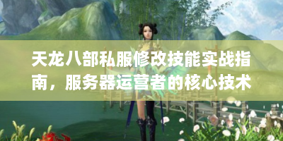 天龙八部私服修改技能实战指南，服务器运营者的核心技术解析