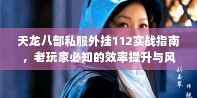 天龙八部私服外挂112实战指南，老玩家必知的效率提升与风险规避