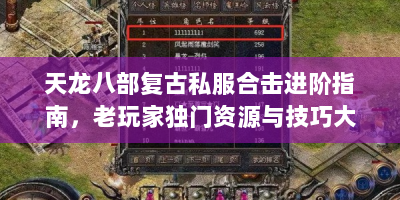 天龙八部复古私服合击进阶指南，老玩家独门资源与技巧大揭秘