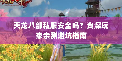 天龙八部私服安全吗？资深玩家亲测避坑指南