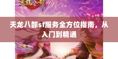 天龙八部sf服务全方位指南，从入门到精通