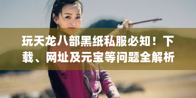 玩天龙八部黑纸私服必知！下载、网址及元宝等问题全解析