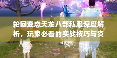 轮回变态天龙八部私服深度解析，玩家必看的实战技巧与资源指南
