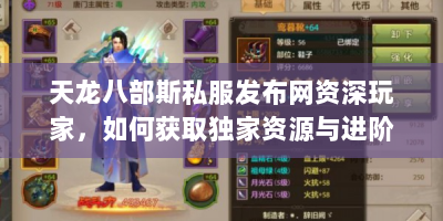 天龙八部斯私服发布网资深玩家，如何获取独家资源与进阶？
