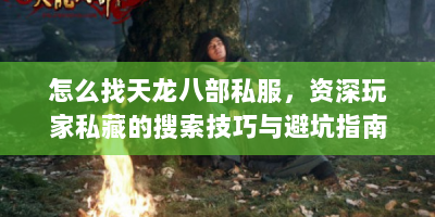 怎么找天龙八部私服，资深玩家私藏的搜索技巧与避坑指南