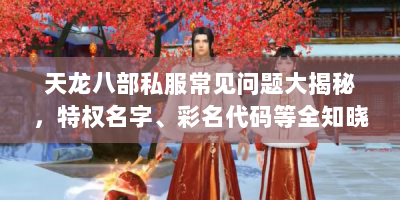天龙八部私服常见问题大揭秘，特权名字、彩名代码等全知晓