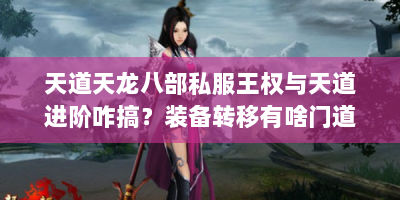 天道天龙八部私服王权与天道进阶咋搞？装备转移有啥门道？