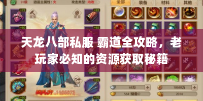 天龙八部私服 霸道全攻略，老玩家必知的资源获取秘籍