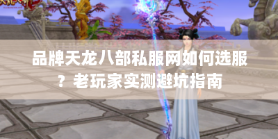 品牌天龙八部私服网如何选服？老玩家实测避坑指南