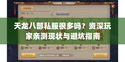 天龙八部私服很多吗？资深玩家亲测现状与避坑指南