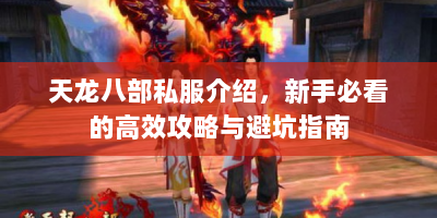 天龙八部私服介绍，新手必看的高效攻略与避坑指南