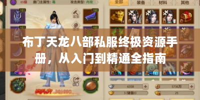 布丁天龙八部私服终极资源手册，从入门到精通全指南