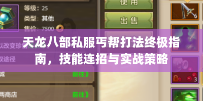 天龙八部私服丐帮打法终极指南，技能连招与实战策略