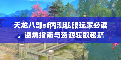 天龙八部sf内测私服玩家必读，避坑指南与资源获取秘籍