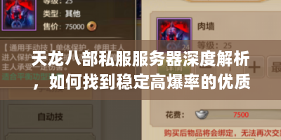 天龙八部私服服务器深度解析，如何找到稳定高爆率的优质私服