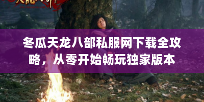 冬瓜天龙八部私服网下载全攻略，从零开始畅玩独家版本