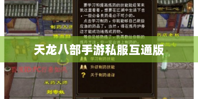天龙八部手游私服互通版