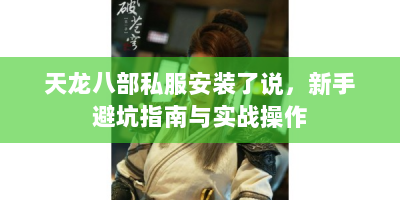 天龙八部私服安装了说，新手避坑指南与实战操作