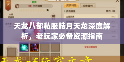 天龙八部私服皓月天龙深度解析，老玩家必备资源指南