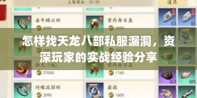 怎样找天龙八部私服漏洞，资深玩家的实战经验分享