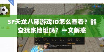 SF天龙八部游戏ID怎么查看？能查玩家地址吗？一文解惑