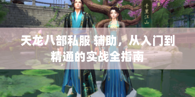天龙八部私服 辅助，从入门到精通的实战全指南