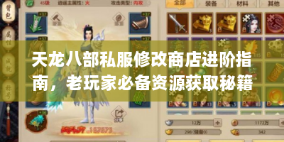 天龙八部私服修改商店进阶指南，老玩家必备资源获取秘籍