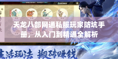 天龙八部网通私服玩家防坑手册，从入门到精通全解析