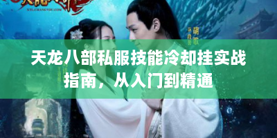 天龙八部私服技能冷却挂实战指南，从入门到精通
