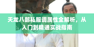 天龙八部私服调属性全解析，从入门到精通实战指南