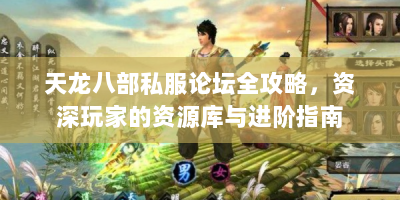天龙八部私服论坛全攻略，资深玩家的资源库与进阶指南