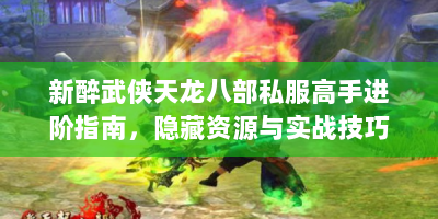 新醉武侠天龙八部私服高手进阶指南，隐藏资源与实战技巧揭秘