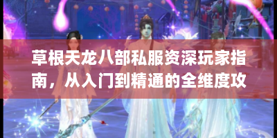 草根天龙八部私服资深玩家指南，从入门到精通的全维度攻略