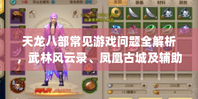 天龙八部常见游戏问题全解析，武林风云录、凤凰古城及辅助教程
