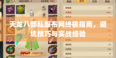 天龙八部私服布网终极指南，避坑技巧与实战经验