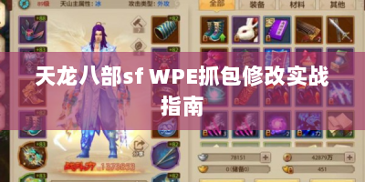 天龙八部sf WPE抓包修改实战指南