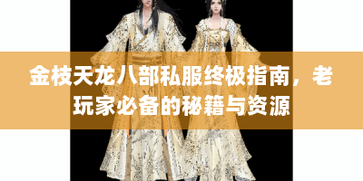 金枝天龙八部私服终极指南，老玩家必备的秘籍与资源