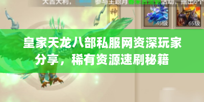 皇家天龙八部私服网资深玩家分享，稀有资源速刷秘籍