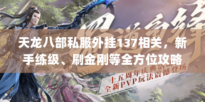 天龙八部私服外挂137相关，新手练级、刷金刚等全方位攻略汇总