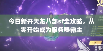 今日新开天龙八部sf全攻略，从零开始成为服务器霸主