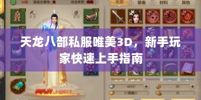 天龙八部私服唯美3D，新手玩家快速上手指南