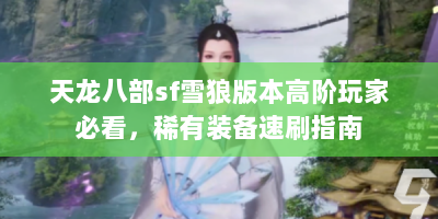 天龙八部sf雪狼版本高阶玩家必看，稀有装备速刷指南