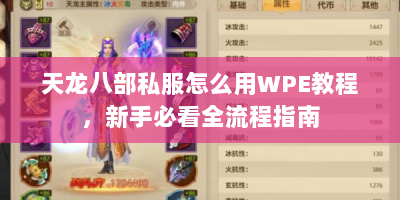 天龙八部私服怎么用WPE教程，新手必看全流程指南