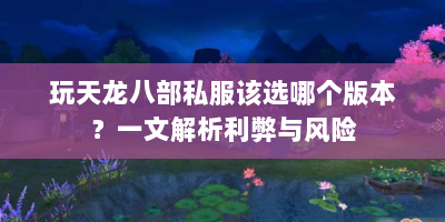玩天龙八部私服该选哪个版本？一文解析利弊与风险