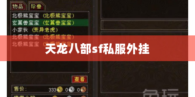 天龙八部sf私服外挂