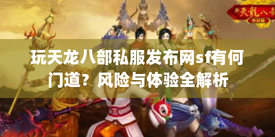 玩天龙八部私服发布网sf有何门道？风险与体验全解析