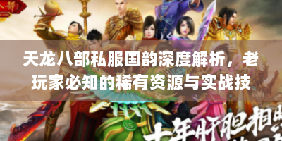 天龙八部私服国韵深度解析，老玩家必知的稀有资源与实战技巧