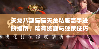 天龙八部猫猫天龙私服高手进阶指南，稀有资源与独家技巧