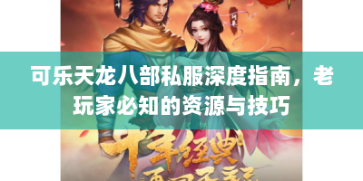 可乐天龙八部私服深度指南，老玩家必知的资源与技巧