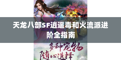 天龙八部SF逍遥毒和火流派进阶全指南